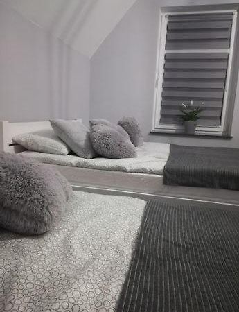 U Ptaka - Podgorzyn Apartment Luaran gambar